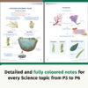 P3-6 Science Course Book