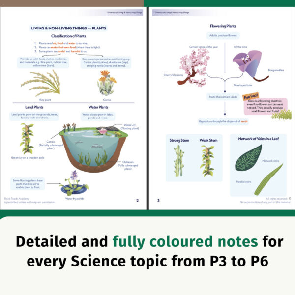 2 P3-6 Science Course Book