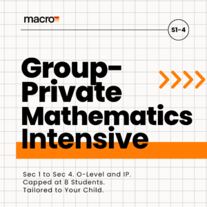 The Group-Private Mathematics Intensive