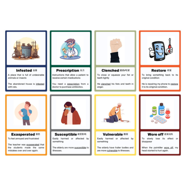 27 PSLE Vocabulary Flash Cards (小六会考) 词汇闪卡