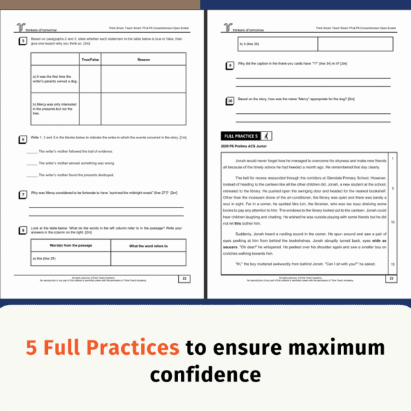 3 P5/6 Comprehension Workbook