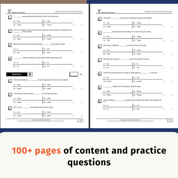 3 PSLE English Grammar & S&T Workbooks