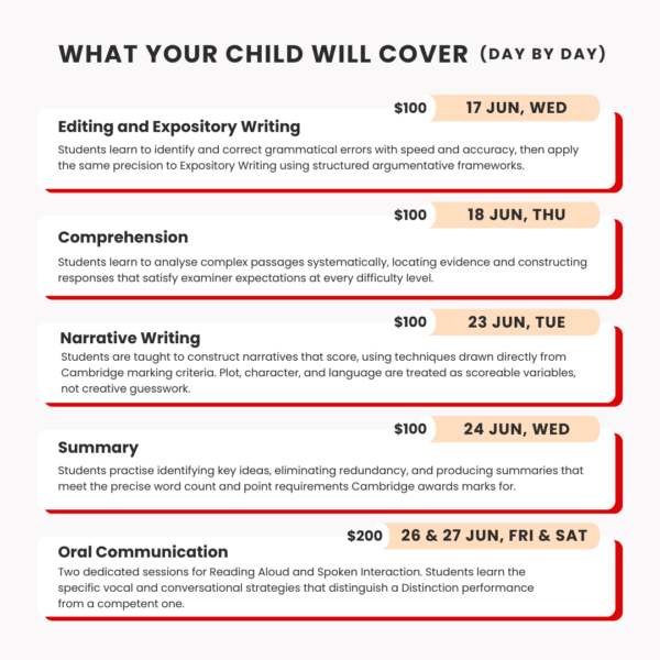 The O-Level English Distinction Intensive - One Framework At A Time