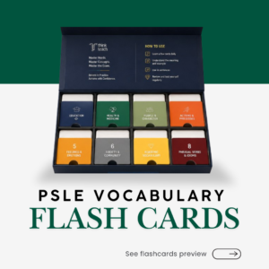 PSLE Vocabulary Flash Cards (小六会考) 词汇闪卡