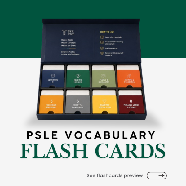 Rachel Folder 2 (5) PSLE Vocabulary Flash Cards (小六会考) 词汇闪卡